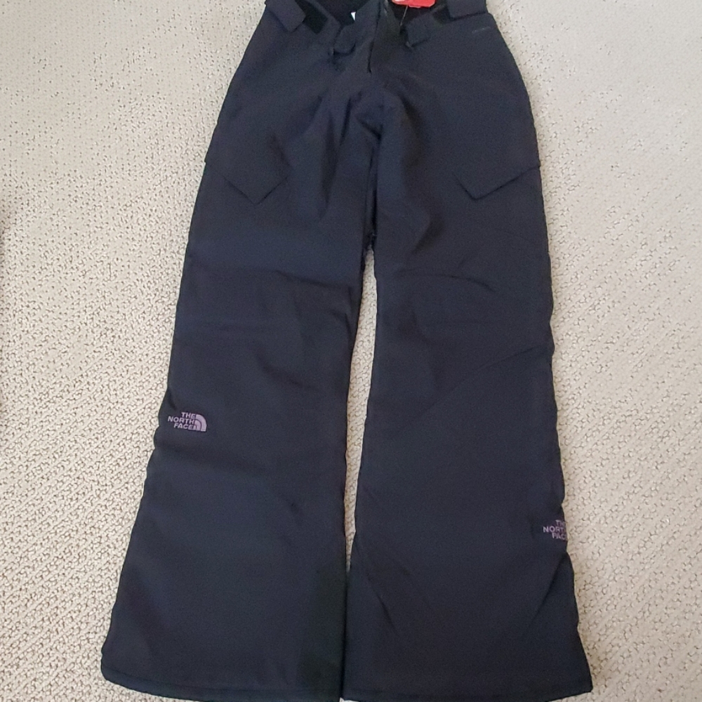 The north face snowpant